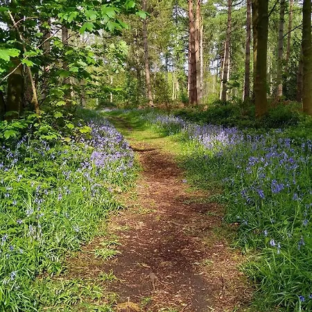 Hollicarrs - Long Lane Gerendaház *