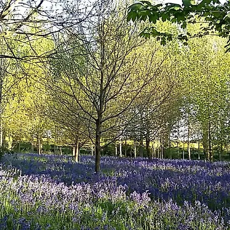 Hollicarrs - Long Lane Gerendaház *