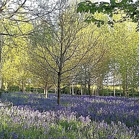 Hollicarrs - Long Lane Lodge *