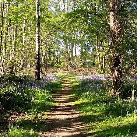 Hollicarrs - Long Lane Lodge *