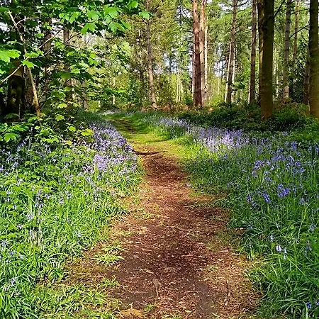 Hollicarrs - Long Lane *