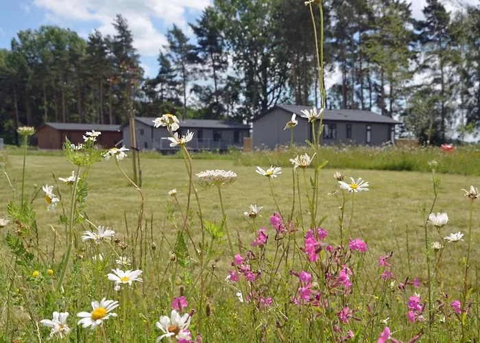 Hollicarrs - Long Lane Alojamento de Turismo Selvagem York