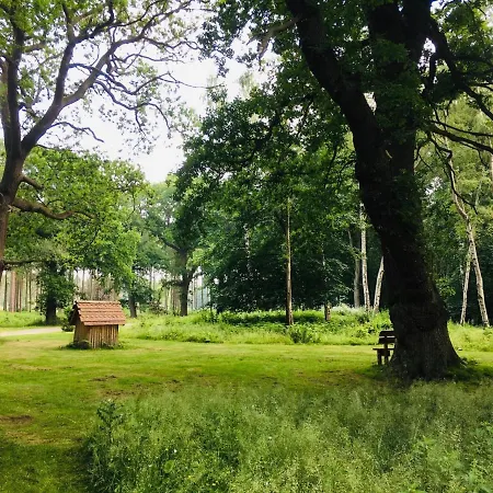 Hollicarrs - Long Lane *