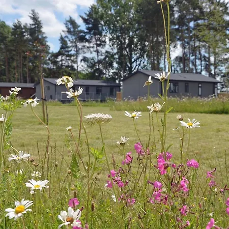 Hollicarrs - Long Lane Lodge York