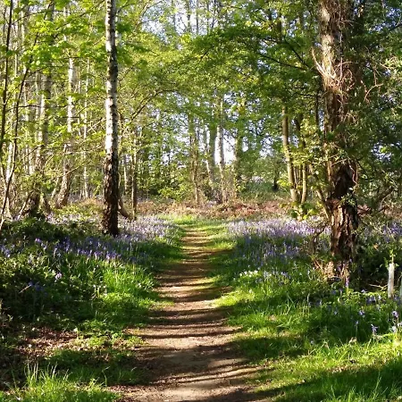 Lodge Hollicarrs - Long Lane *