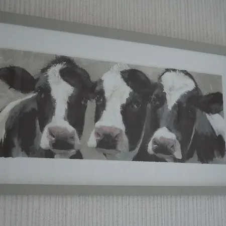 Hollicarrs - Long Lane