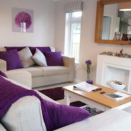 Hollicarrs - Long Lane Alojamento de Turismo Selvagem