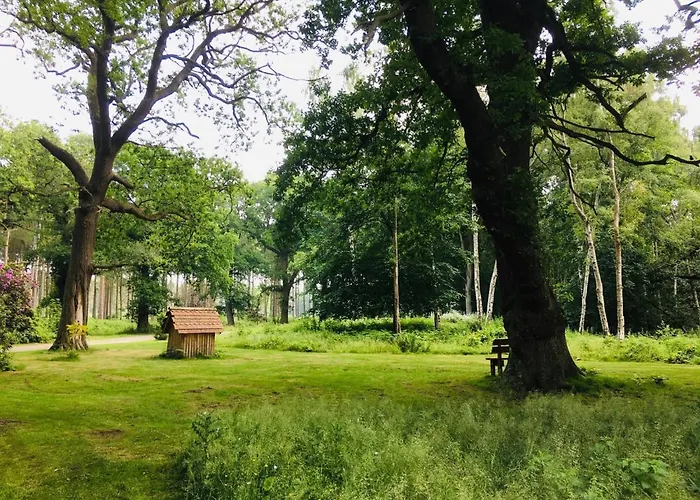 Hollicarrs - Long Lane *